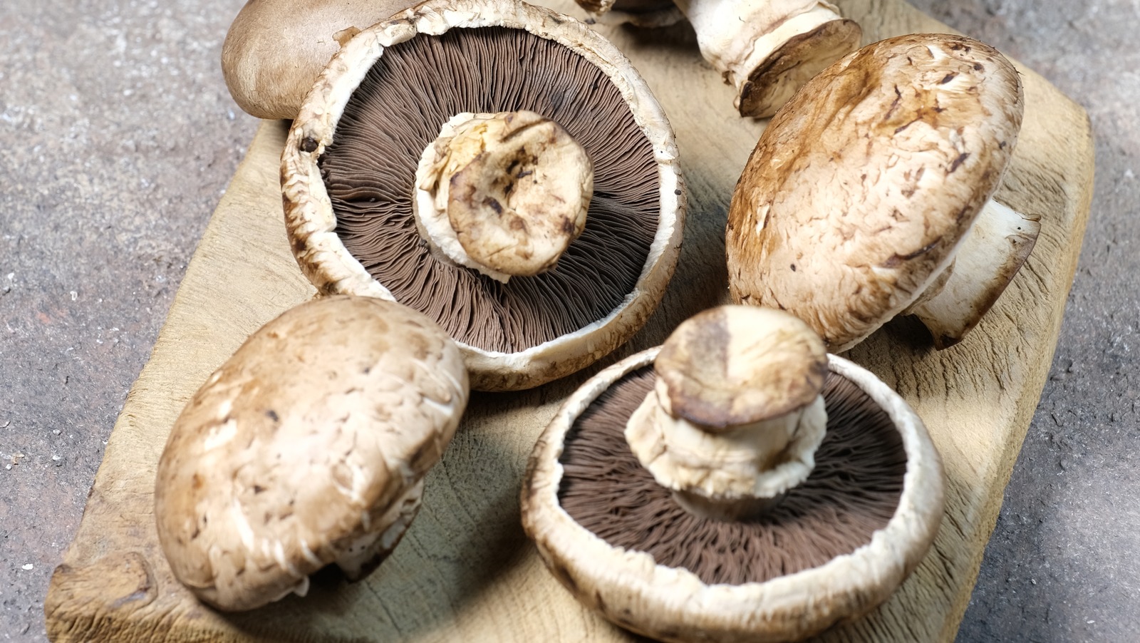 Portabello Mushrooms